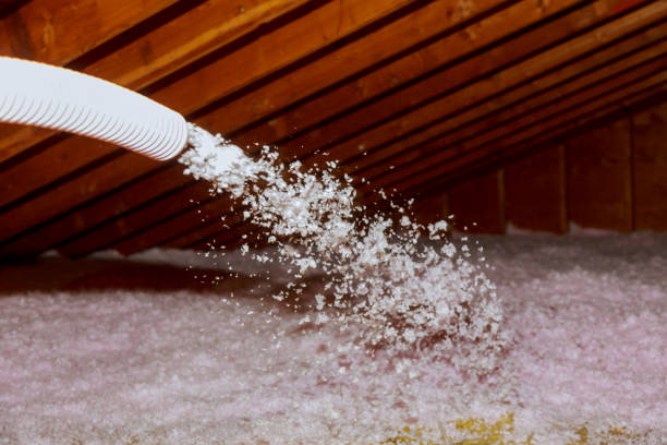 Best Attic Insulation Installation  in Shannon, GA